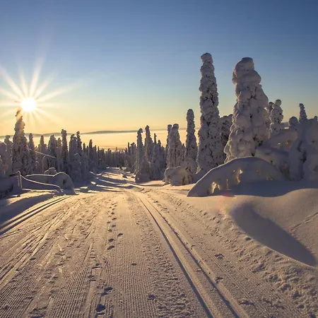 Wilderness Estate Pukari, Kuusamon Eraemajoitus Huoneisto Kuusamo